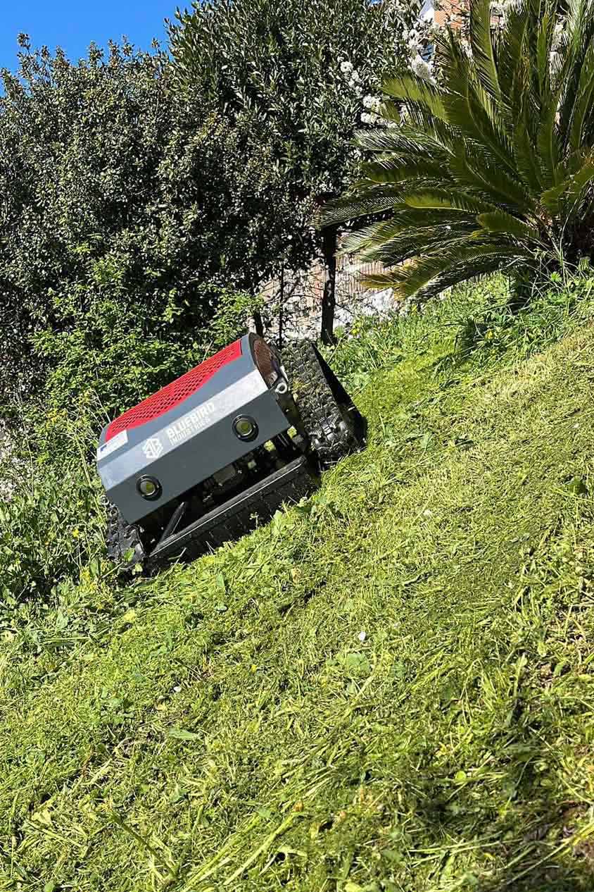 lattanzi giardinaggio