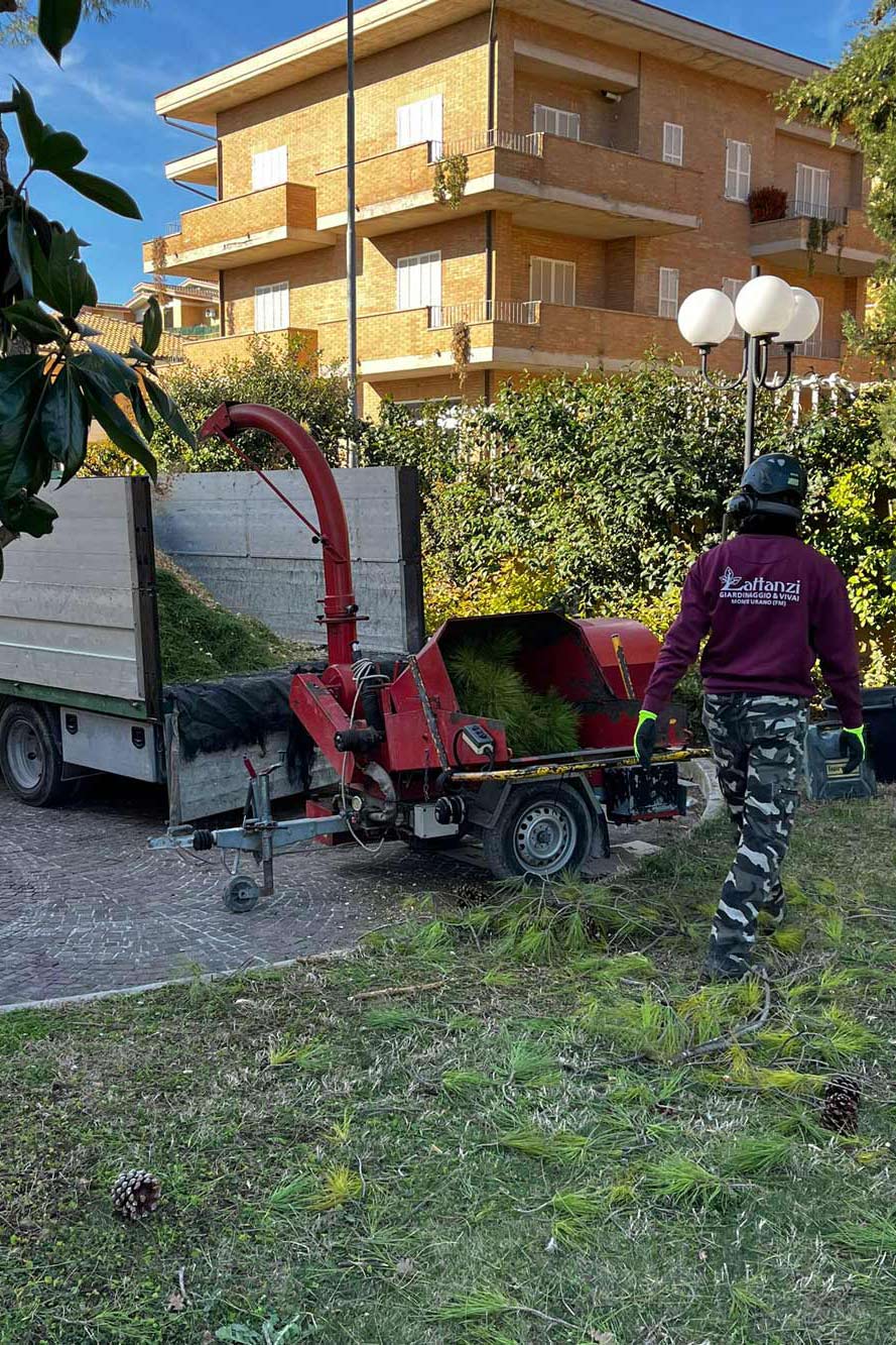 lattanzi giardinaggio