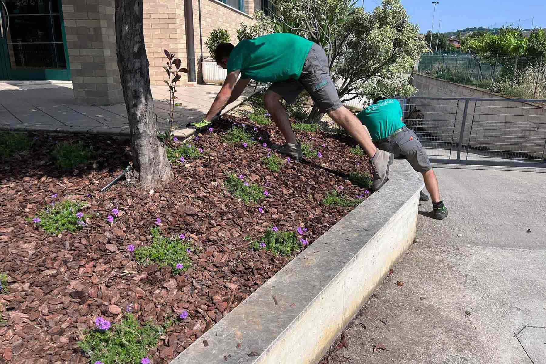 lattanzi giardinaggio