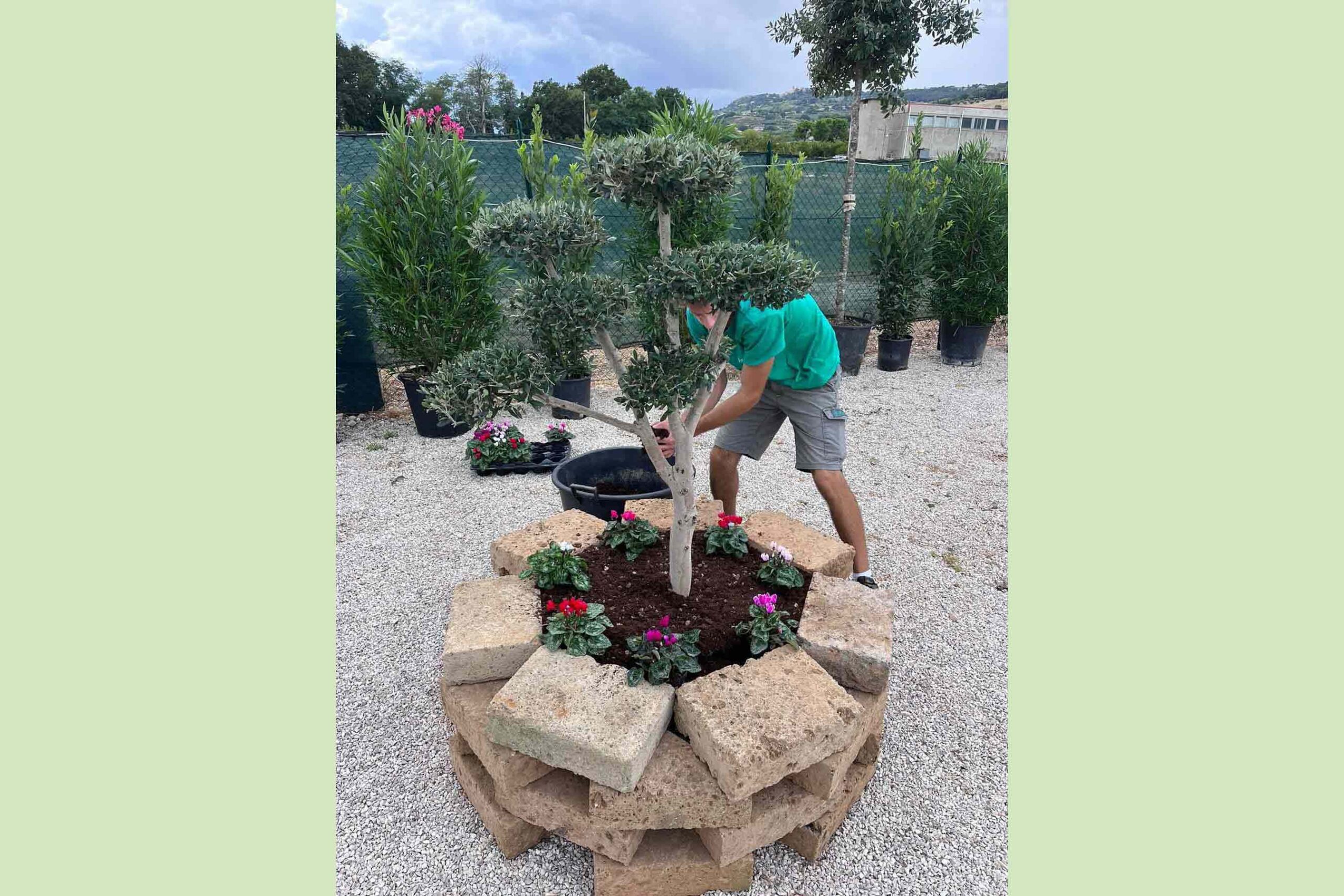 lattanzi giardinaggio