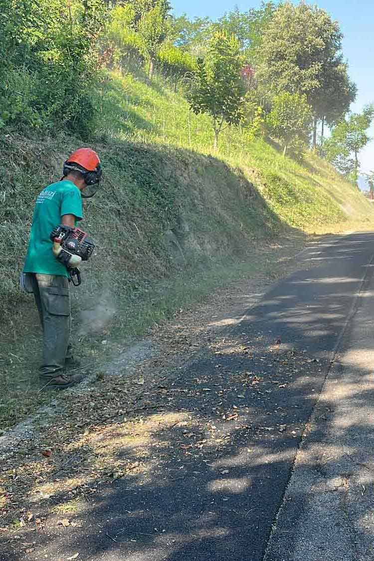 lattanzi giardinaggio