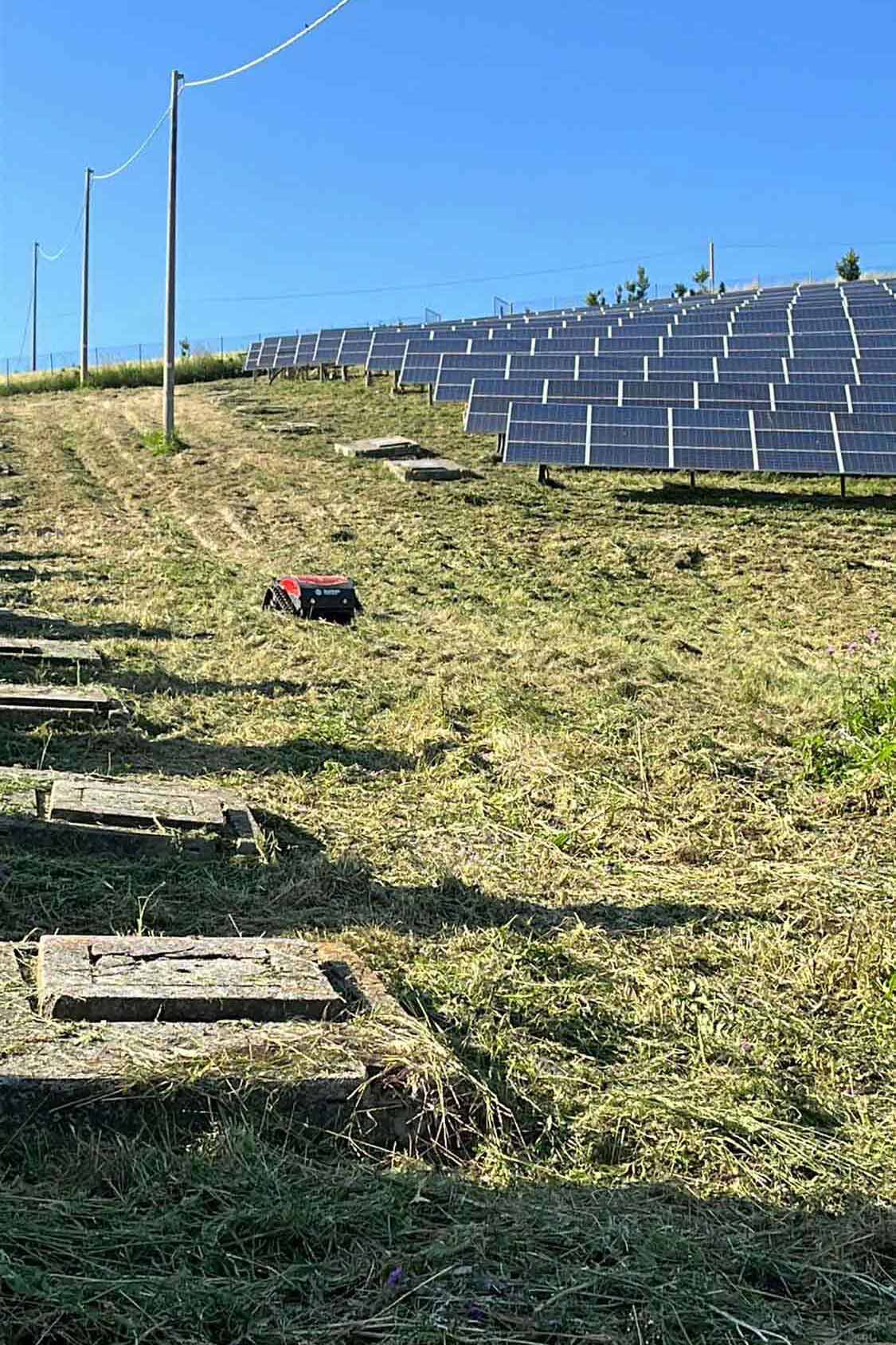 lattanzi giardinaggio