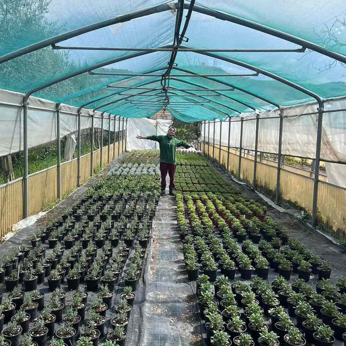 lattanzi giardinaggio