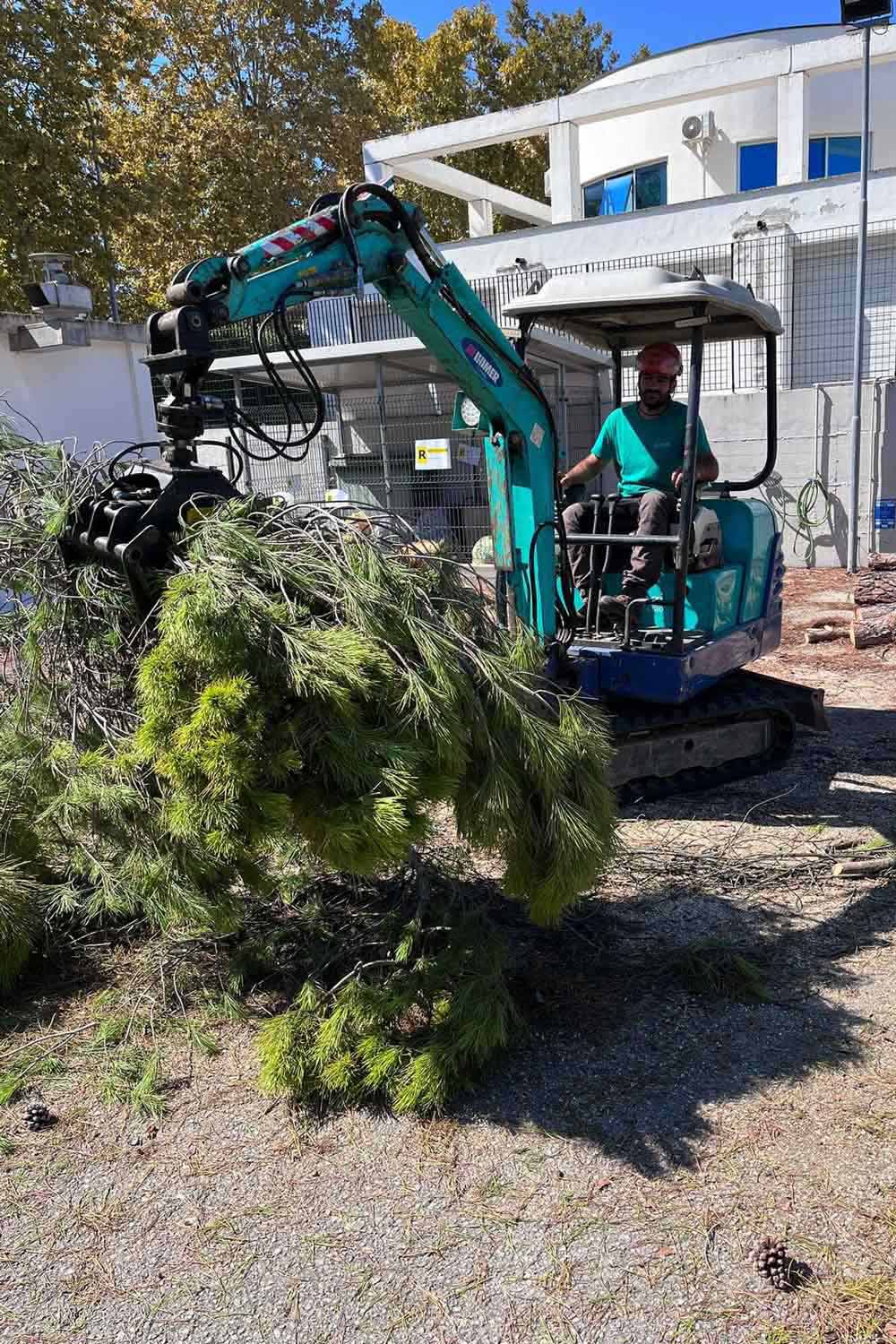 lattanzi giardinaggio