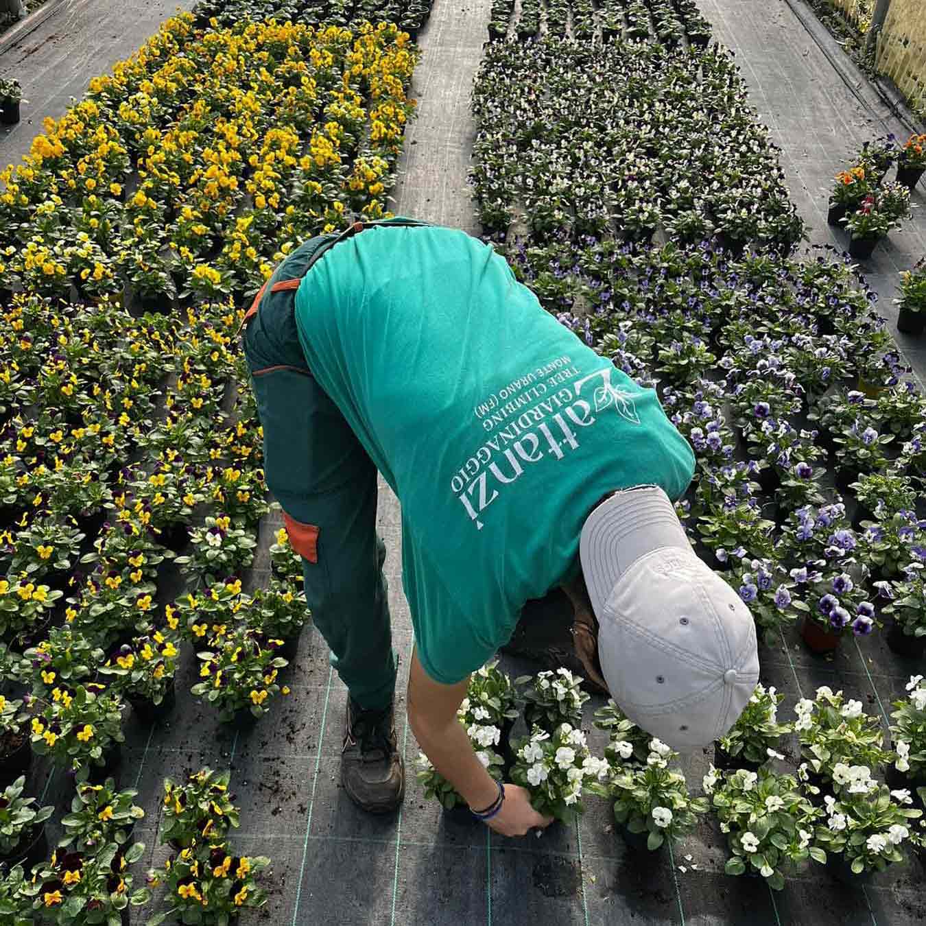 lattanzi giardinaggio