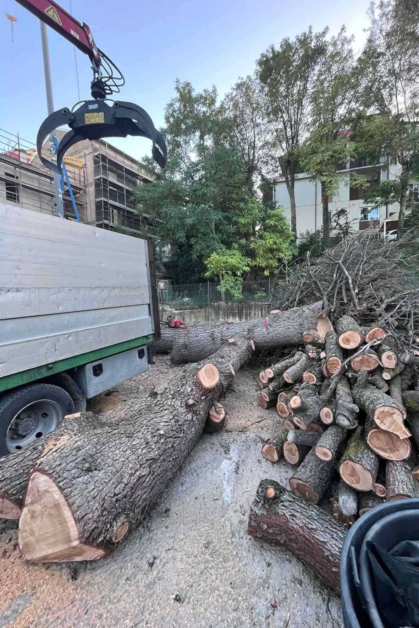 lattanzi giardinaggio