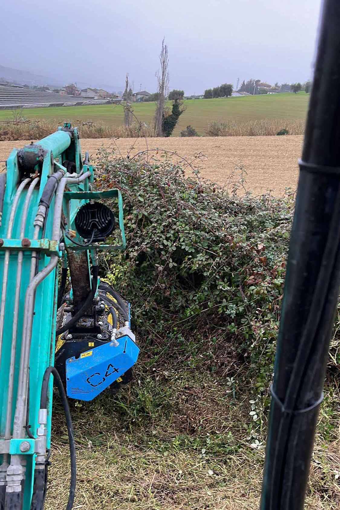 lattanzi giardinaggio