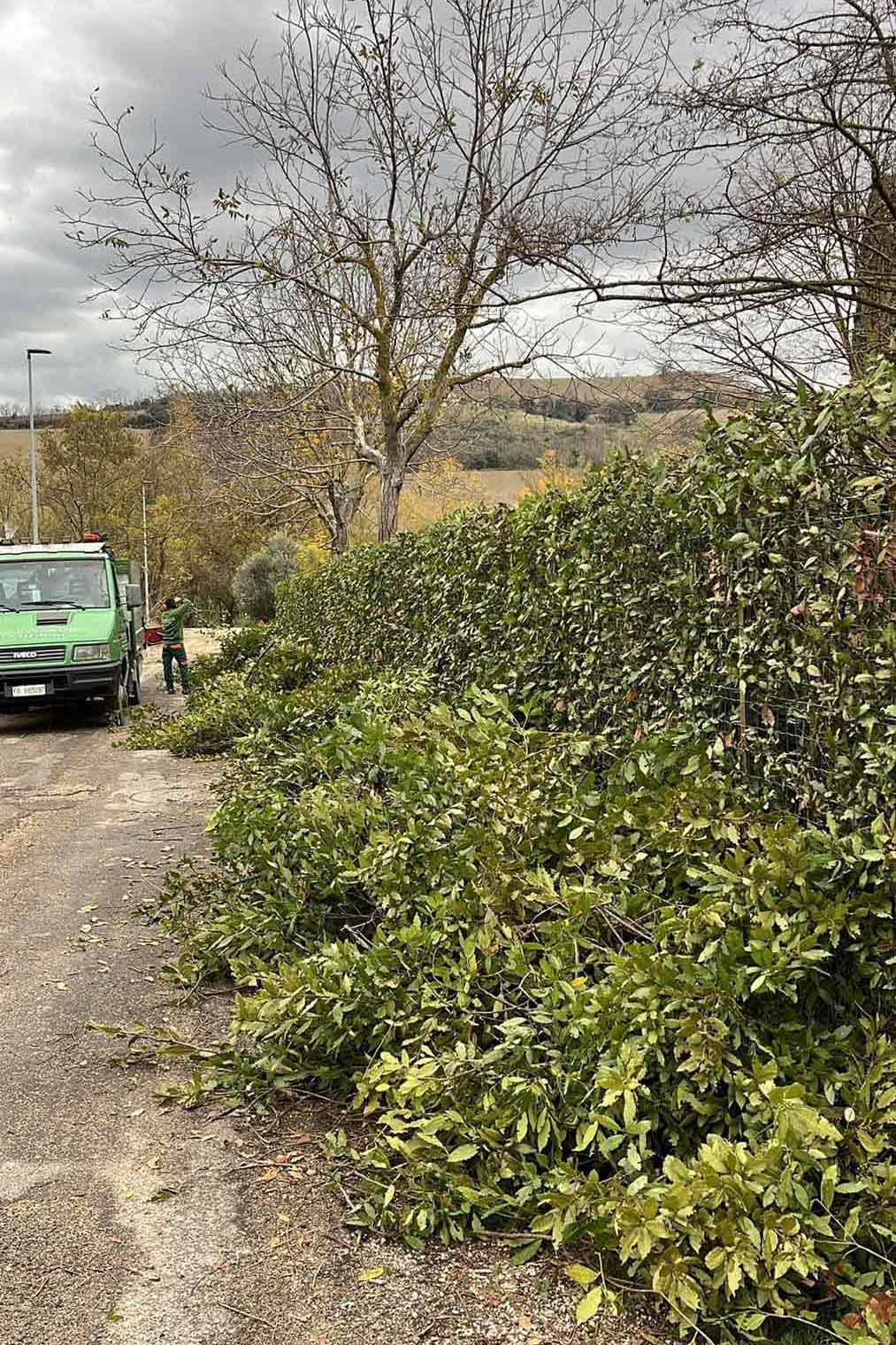 lattanzi giardinaggio