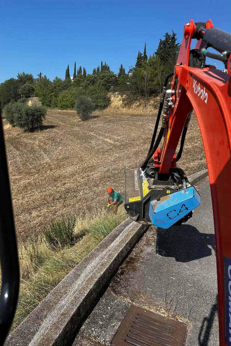 lattanzi giardinaggio