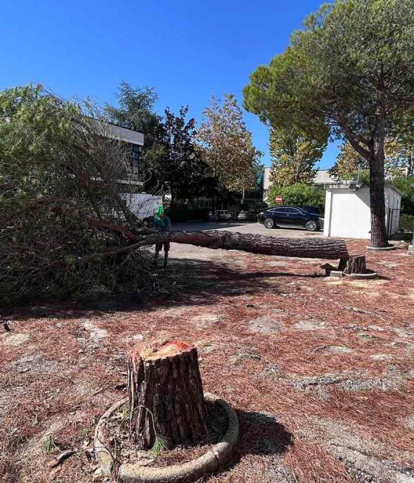 lattanzi giardinaggio