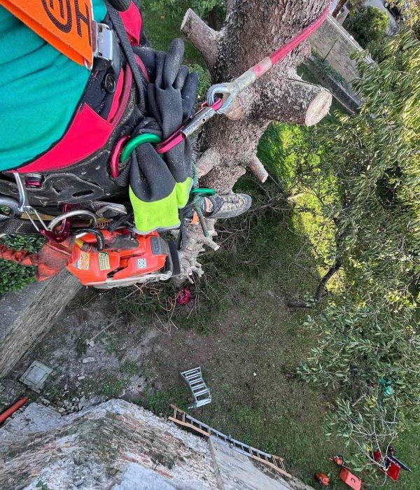 lattanzi giardinaggio