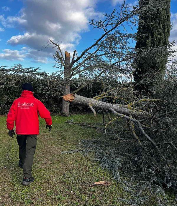 lattanzi giardinaggio